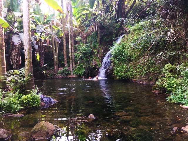 People swimming in the Earther Academy Retreats Waterfall